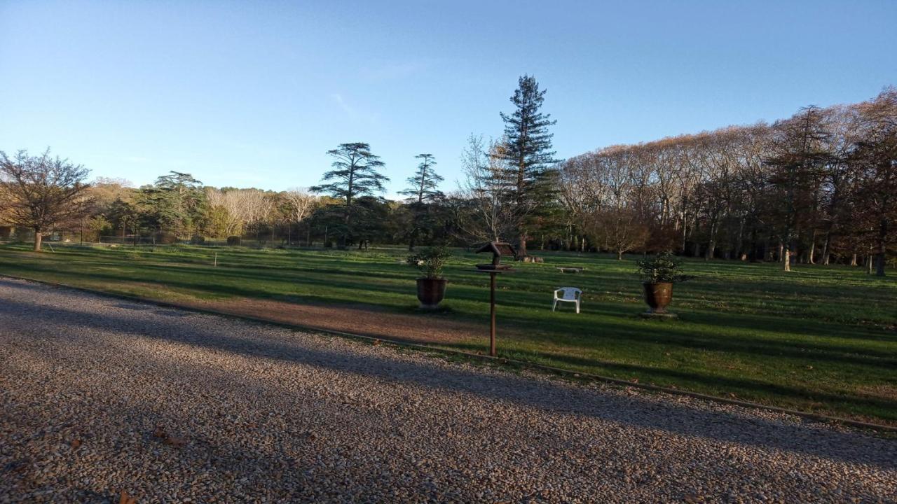 La Chapelle De Fontmagne - Piscine, Tennis Et Grand Parc - 卡斯特里 外观 照片